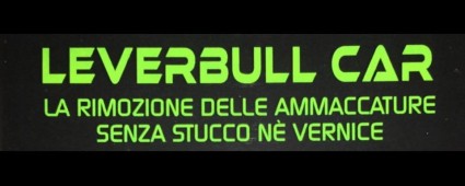 LEVERBULL CAR