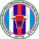 BULLS CALCIO A 5