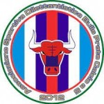 BULLS CALCIO A 5