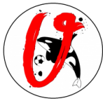 FUTSAL VIAREGGIO