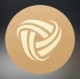 PLAY LEAGUE